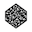 coin image